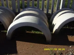 Tree Rings